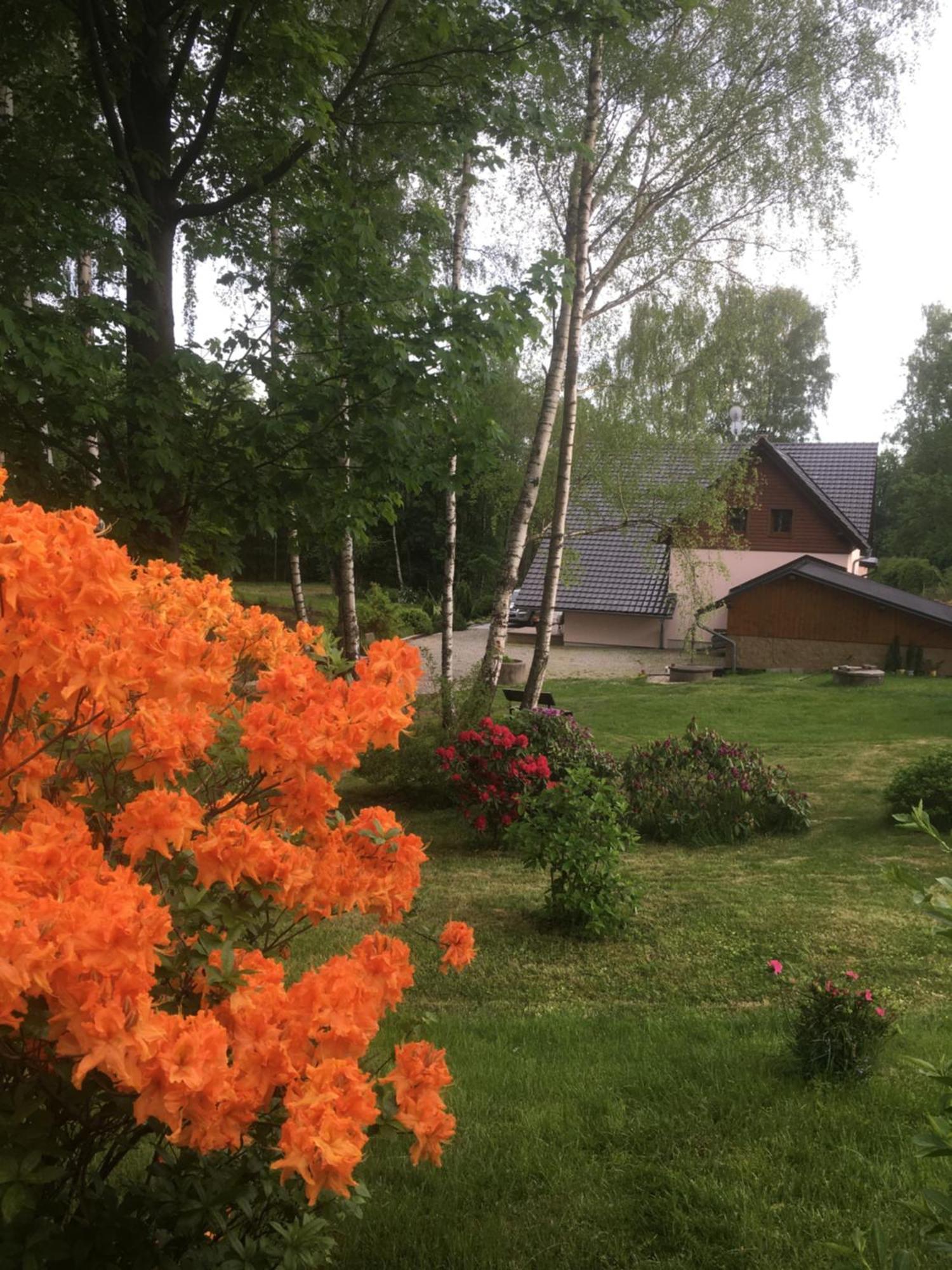 Chalupa Zlate Pisky Nove Krecany Экстерьер фото